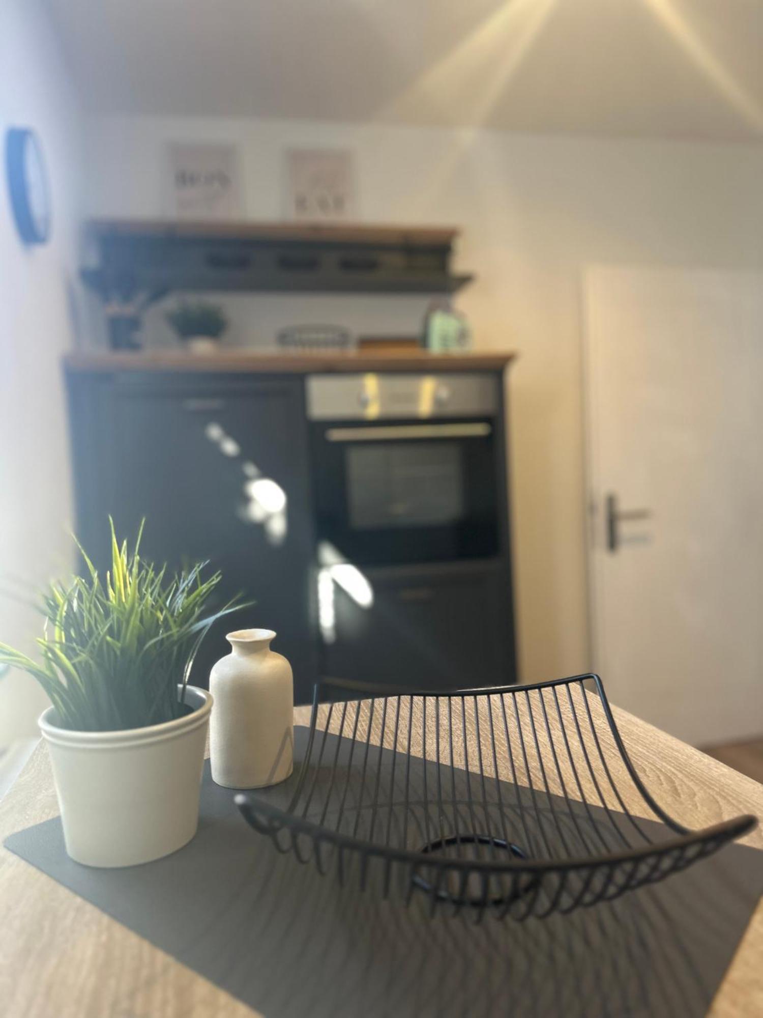 Neckarnest Ferienwohnung Neckarwestheim Экстерьер фото